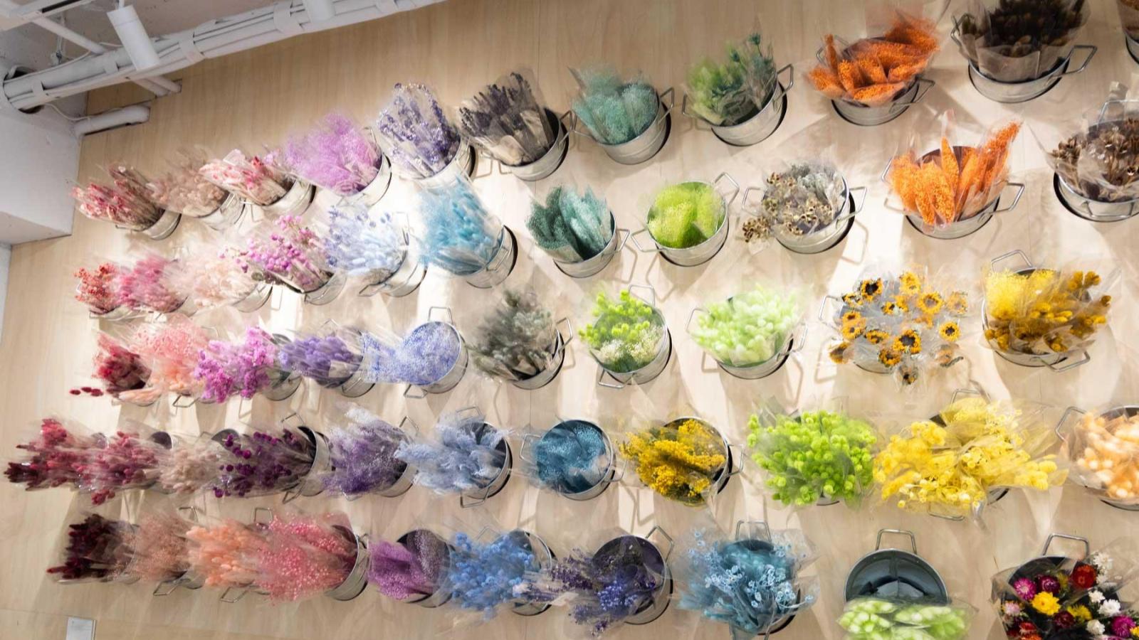 株式会社ハナプロ