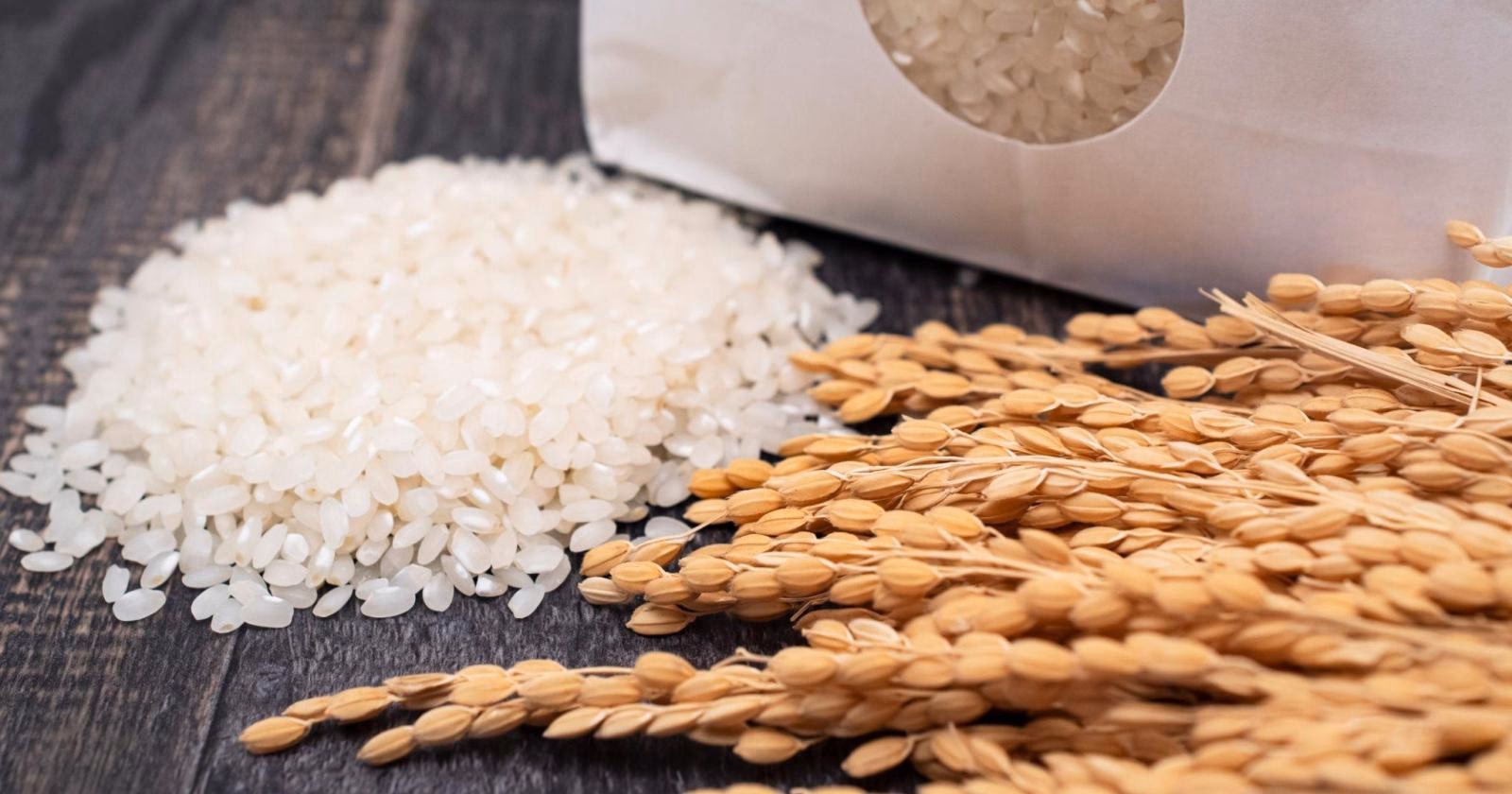 ネットショップでお米を販売するには？必要な許可・手続きと販売のポイントを解説